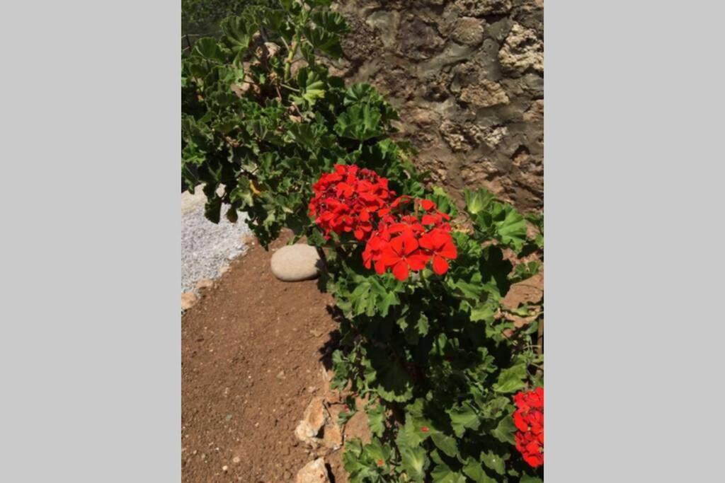 פורטו הלי Gerani Maison Agios Aimilianos Beautiful View מראה חיצוני תמונה